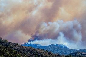 California Wildfires Devastate Palisades