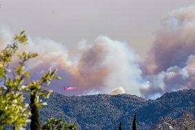 California Wildfires Devastate Palisades