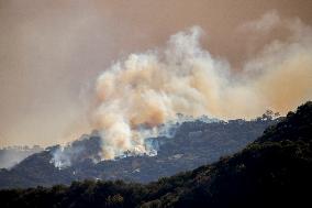 California Wildfires Devastate Palisades