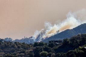 California Wildfires Devastate Palisades