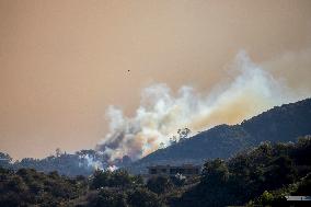 California Wildfires Devastate Palisades