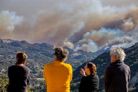 California Wildfires Devastate Palisades