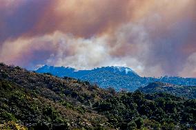 California Wildfires Devastate Palisades