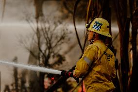 California Wildfires Devastate Malibu