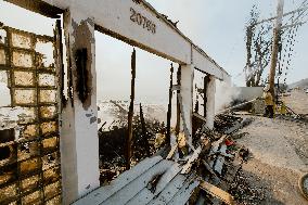 California Wildfires Devastate Malibu