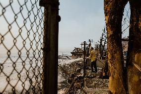 California Wildfires Devastate Malibu