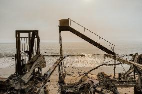 California Wildfires Devastate Malibu