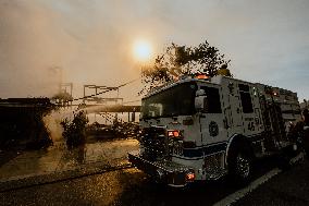 California Wildfires Devastate Malibu