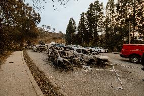 California Wildfires Devastate Malibu