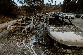 California Wildfires Devastate Malibu