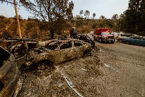 California Wildfires Devastate Malibu