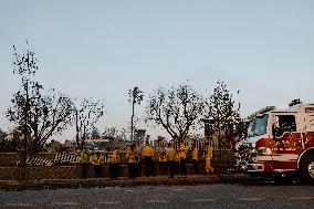 California Wildfires Devastate Malibu