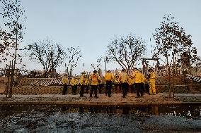 California Wildfires Devastate Malibu