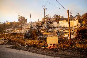 California Wildfires Devastate Malibu