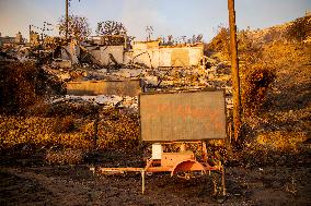 California Wildfires Devastate Malibu