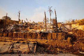 California Wildfires Devastate Malibu