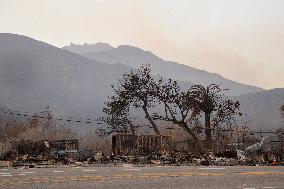 California Wildfires Devastate Malibu