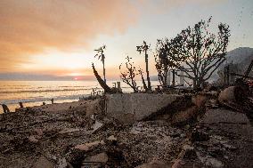 California Wildfires Devastate Malibu