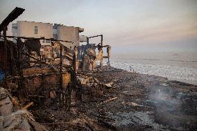 California Wildfires Devastate Malibu