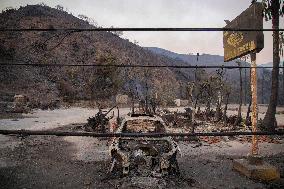 California Wildfires Devastate Malibu