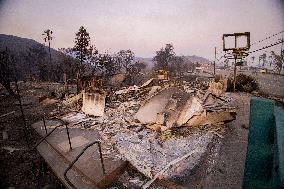 California Wildfires Devastate Malibu