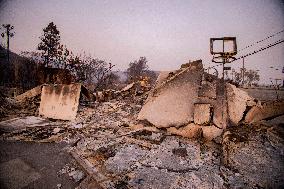 California Wildfires Devastate Malibu