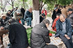 China Elderly Service Network