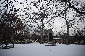 Man Shot Multiple Times And Killed At Carroll Park In Carroll Gardens Brooklyn New York City