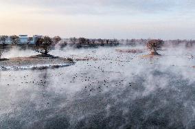 Dahei River Country Park - China