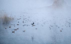 Dahei River Country Park - China