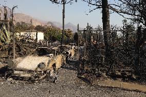 Los Angeles County Wildfires - USA