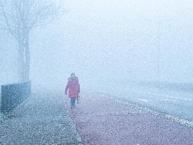 Dense Fog And Ice In The Centre-east Of The Netherlands.