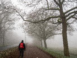 Dense Fog And Ice In The Centre-east Of The Netherlands.