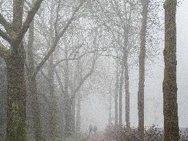 Dense Fog And Ice In The Centre-east Of The Netherlands.