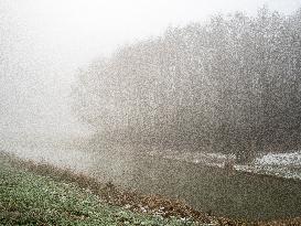 Dense Fog And Ice In The Centre-east Of The Netherlands.