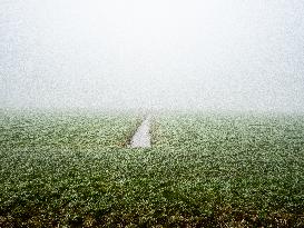 Dense Fog And Ice In The Centre-east Of The Netherlands.