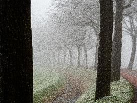 Dense Fog And Ice In The Centre-east Of The Netherlands.