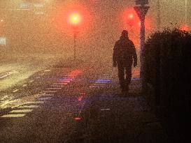 Dense Fog And Ice In The Centre-east Of The Netherlands.