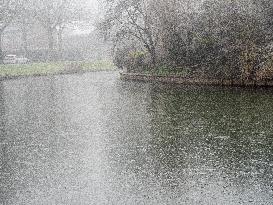 Dense Fog And Ice In The Centre-east Of The Netherlands.