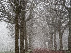 Dense Fog And Ice In The Centre-east Of The Netherlands.