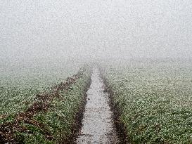 Dense Fog And Ice In The Centre-east Of The Netherlands.