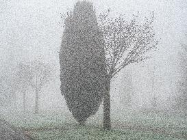 Dense Fog And Ice In The Centre-east Of The Netherlands.