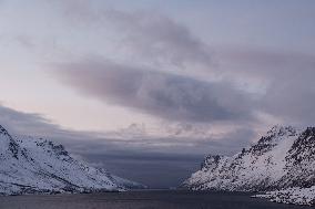 Daily Life In Norway