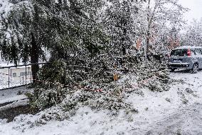 Bad Weather In Basilicata, Heavy Snowfall And Major Accumulations In Potenza