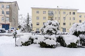 Bad Weather In Basilicata, Heavy Snowfall And Major Accumulations In Potenza