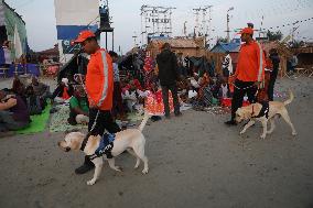 ''Makar Sankranti'' Festival In Sagar Islad, India