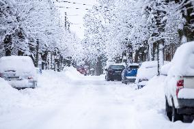 Snowstorm hits Estonia