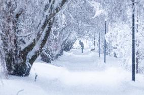 Snowstorm hits Estonia