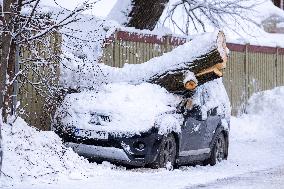 Snowstorm hits Estonia