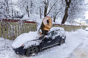 Snowstorm hits Estonia